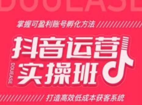 抖音运营实操班，掌握可盈利账号孵化方法，打造高效低成本获客系统-灵动共创