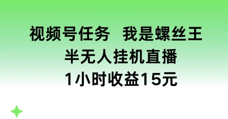 视频号任务，我是螺丝王， 半无人挂机1小时收益15元【揭秘】-灵动共创