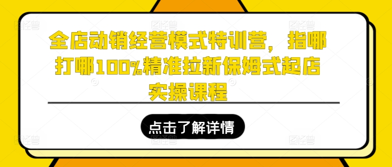 全店动销经营模式特训营，指哪打哪100%精准拉新保姆式起店实操课程-灵动共创