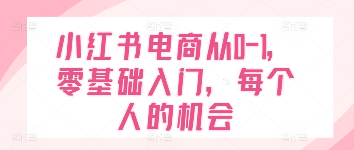 小红书电商从0-1，零基础入门，每个人的机会-灵动共创