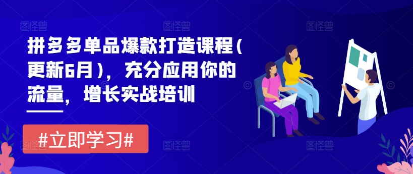 拼多多单品爆款打造课程(更新6月)，充分应用你的流量，增长实战培训-灵动共创