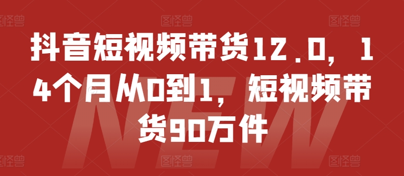 抖音短视频带货12.0，14个月从0到1，短视频带货90万件-灵动共创