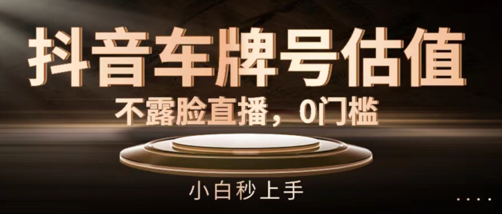 抖音车牌号估值，不露脸直播，0门槛，小白秒上手【揭秘】-灵动共创