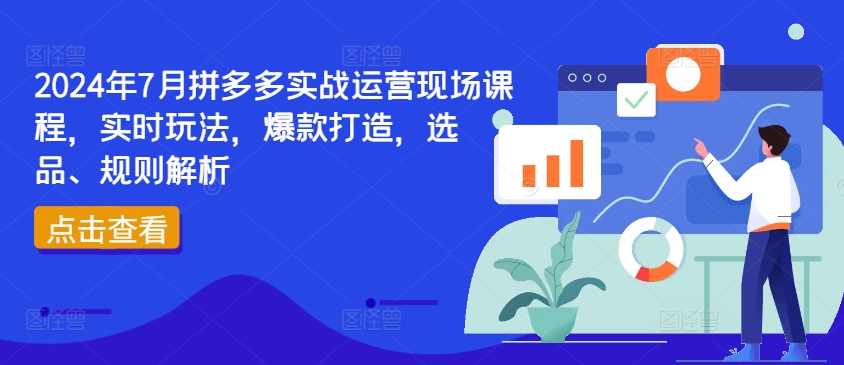 2024年7月拼多多实战运营现场课程，实时玩法，爆款打造，选品、规则解析-灵动共创