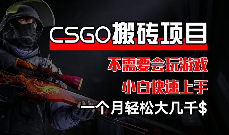 CSGO 装备搬砖项目，操作简单，不需要会玩游戏，小白也能快速上手，一个月轻松大几千【揭秘】-灵动共创