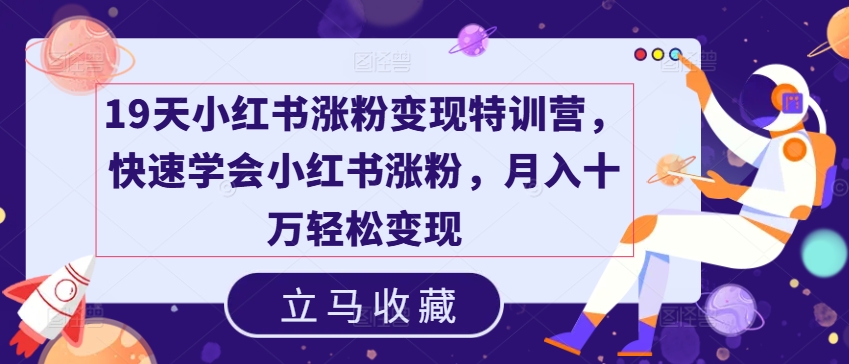 19天小红书涨粉变现特训营，快速学会小红书涨粉，月入十万轻松变现-灵动共创