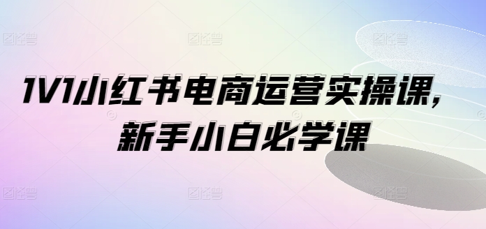 1V1小红书电商运营实操课，新手小白必学课-灵动共创