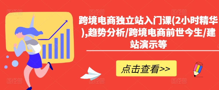 跨境电商独立站入门课(2小时精华),趋势分析/跨境电商前世今生/建站演示等-灵动共创