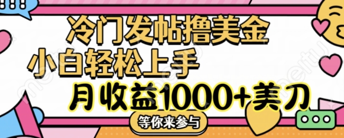 冷门发帖撸美金项目，月收益1000+美金，简单无脑，干就完了【揭秘】-灵动共创