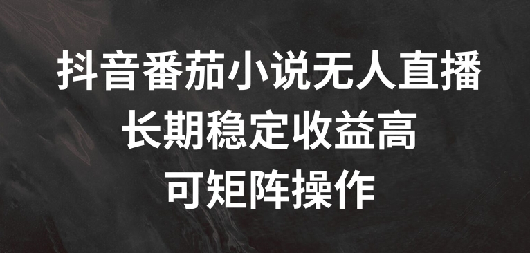 抖音番茄小说无人直播，长期稳定收益高，可矩阵操作【揭秘】-灵动共创