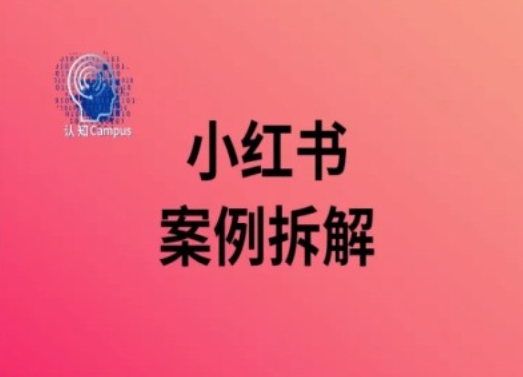 小红书案例拆解，深度解读小红书40万粉-灵动共创