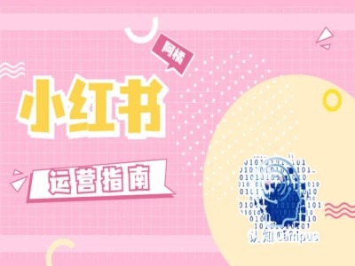 小红书运营指南，没有套路，全是经验-灵动共创