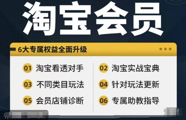 淘宝会员【淘宝所有课程，全面分析对手】，初级到高手全系实战宝典-灵动共创