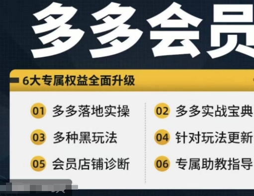 拼多多会员，拼多多实战宝典+实战落地实操，从新手到高阶内容全面覆盖-灵动共创