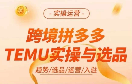 跨境拼多多TEMU实操与选品，多多temu跨境选品运营实操-灵动共创