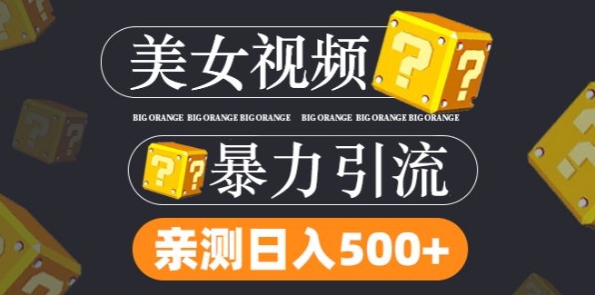 搬运tk美女视频全网分发，日引s粉300+，轻松变现，不限流量不封号【揭秘】-灵动共创