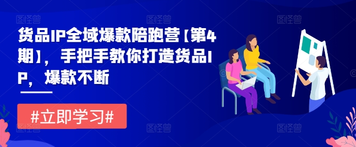 货品IP全域爆款陪跑营【第4期】，手把手教你打造货品IP，爆款不断-灵动共创
