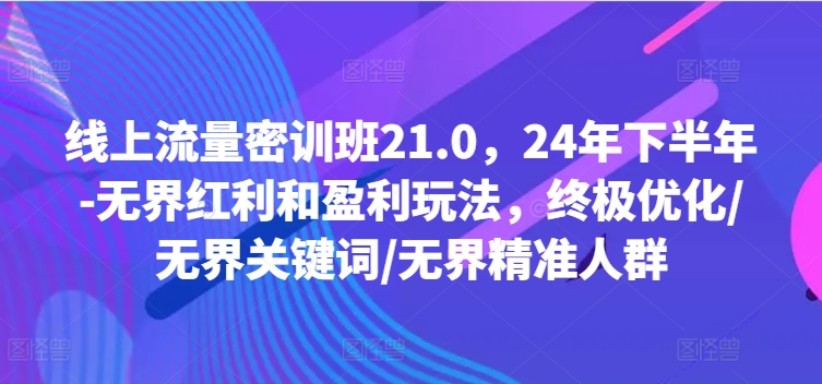 线上流量密训班21.0，24年下半年-无界红利和盈利玩法，终极优化/无界关键词/无界精准人群-灵动共创