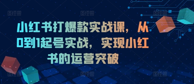 小红书打爆款实战课，从0到1起号实战，实现小红书的运营突破-灵动共创