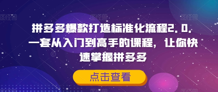 拼多多爆款打造标准化流程2.0，一套从入门到高手的课程，让你快速掌握拼多多-灵动共创