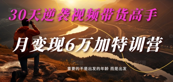 30天逆袭视频带货高手，单月变现6万加特训营-麦子甜-灵动共创