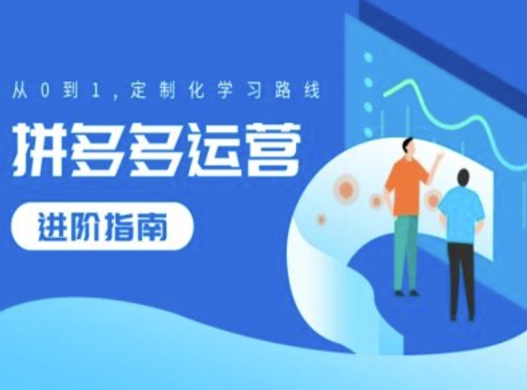 拼多多运营进阶指南，从0到1定制化学习路线-灵动共创