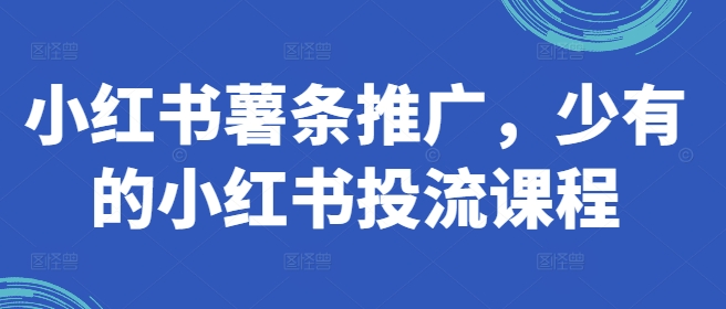小红书薯条推广，少有的小红书投流课程-灵动共创