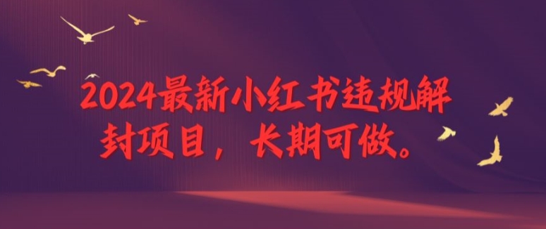 2024最新小红书违规解封项目，长期可做，一个可以做到退休的项目【揭秘】-灵动共创