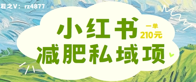 小红书减肥粉，私域变现项目，一单就达210元，小白也能轻松上手【揭秘】-灵动共创