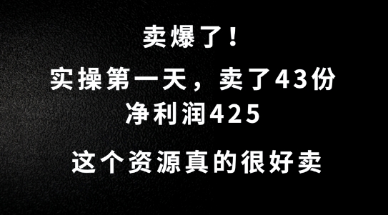 这个资源，需求很大，实操第一天卖了43份，净利润425【揭秘】-灵动共创