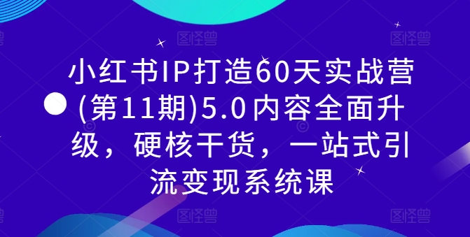 小红书IP打造60天实战营(第11期)5.0​内容全面升级，硬核干货，一站式引流变现系统课-灵动共创