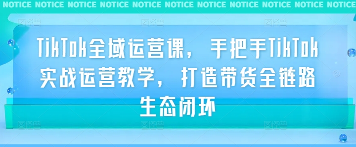 TikTok全域运营课，手把手TikTok实战运营教学，打造带货全链路生态闭环-灵动共创