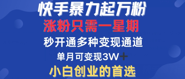 快手暴力起万粉，涨粉只需一星期，多种变现模式，直接秒开万合，单月变现过W【揭秘】-灵动共创
