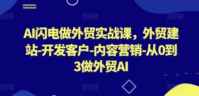 AI闪电做外贸实战课，​外贸建站-开发客户-内容营销-从0到3做外贸AI（更新）-灵动共创