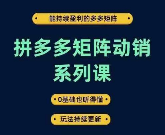 拼多多矩阵动销系列课，能持续盈利的多多矩阵，0基础也听得懂，玩法持续更新-灵动共创