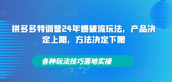 拼多多特训营24年爆破流玩法，产品决定上限，方法决定下限，各种玩法技巧落地实操-灵动共创