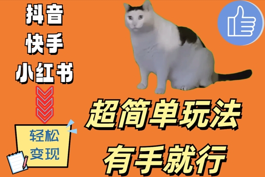 超简单玩法，有手就行，靠猫咪视频日入500+【揭秘】-灵动共创