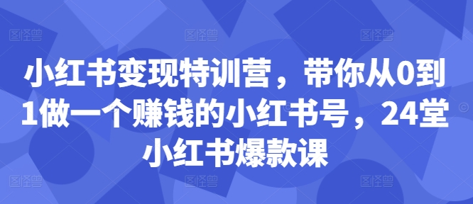 小红书变现特训营，带你从0到1做一个赚钱的小红书号，24堂小红书爆款课-灵动共创