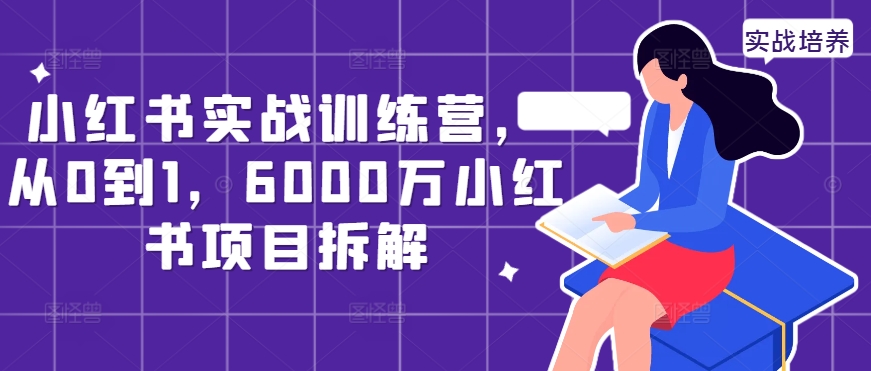 小红书实战训练营，从0到1，6000万小红书项目拆解-灵动共创