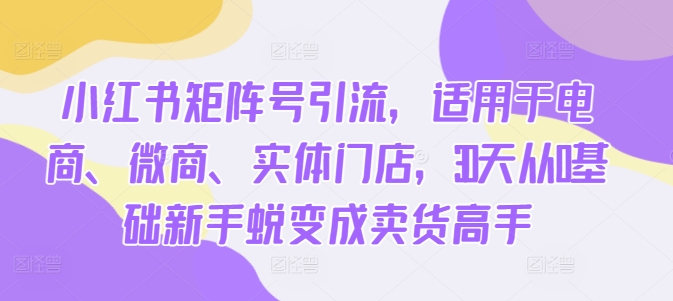 小红书矩阵号引流，适用于电商、微商、实体门店，30天从0基础新手蜕变成卖货高手-灵动共创