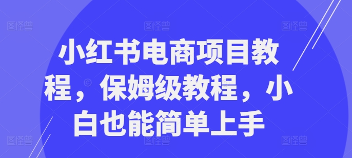 小红书电商项目教程，保姆级教程，小白也能简单上手-灵动共创