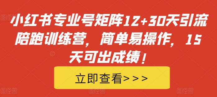 小红书专业号矩阵12+30天引流陪跑训练营，简单易操作，15天可出成绩!-灵动共创