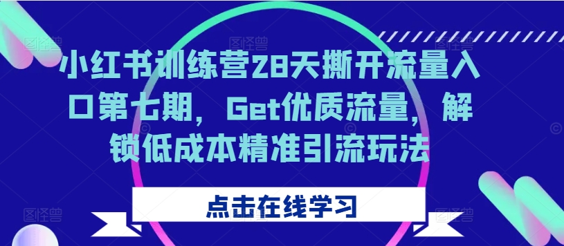 小红书训练营28天撕开流量入口第七期，Get优质流量，解锁低成本精准引流玩法-灵动共创