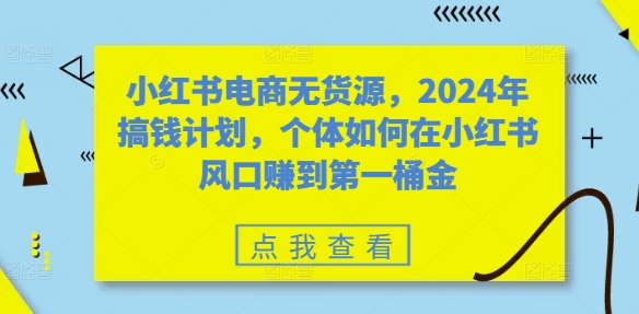 小红书电商无货源，2024年搞钱计划，个体如何在小红书风口赚到第一桶金-灵动共创