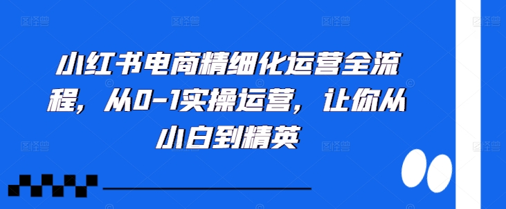 小红书电商精细化运营全流程，从0-1实操运营，让你从小白到精英-灵动共创