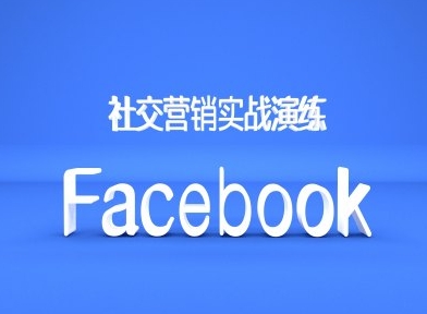 Facebook社交营销实战演练，外贸人绝对不能错过的营销推广平台-灵动共创