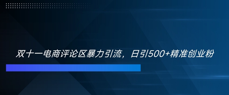 双十一电商评论区暴力引流，日引500+精准创业粉【揭秘】-灵动共创