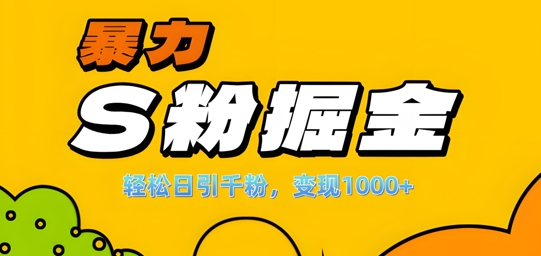 单人单机日引千粉，变现1k+，S粉流量掘金计划攻略【揭秘】-灵动共创