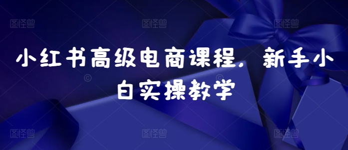 小红书高级电商课程，新手小白实操教学-灵动共创