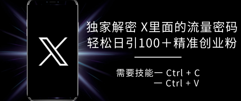 独家解密 X 里面的流量密码，复制粘贴轻松日引100+-灵动共创